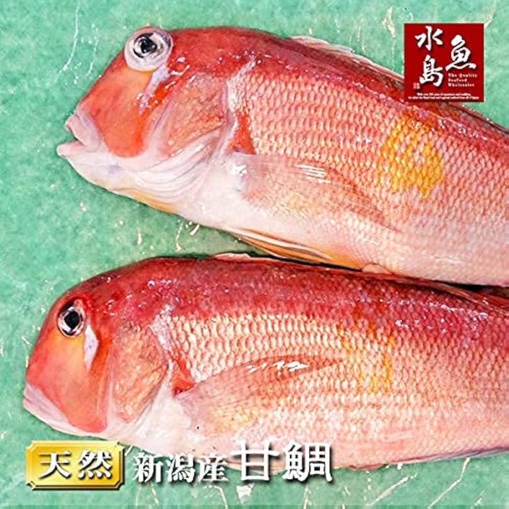 甘鯛延縄　新品 Amazon.co.jp: 魚水島 新潟産 天然 甘鯛 アマダイ（グジ）1,100